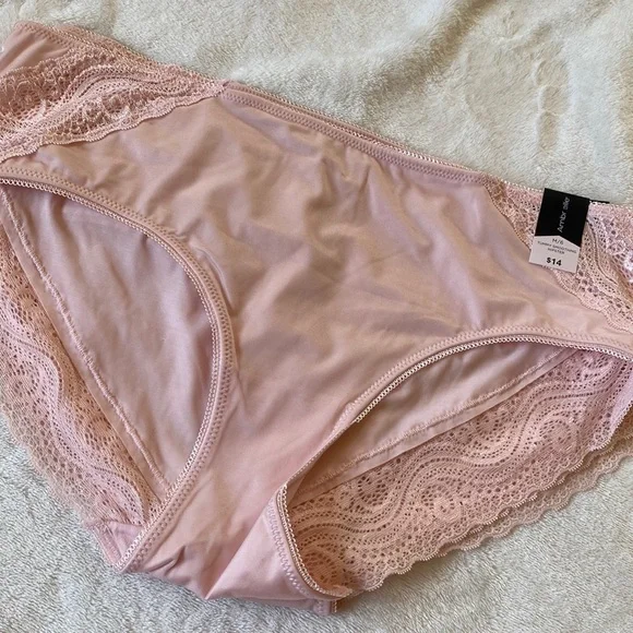 Ambrielle, Intimates & Sleepwear, Pink Blush Tummy Smoothing Hipster  Briefs Nwt Ambrielle Panty